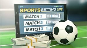 Everything You Need to Know About kana betting